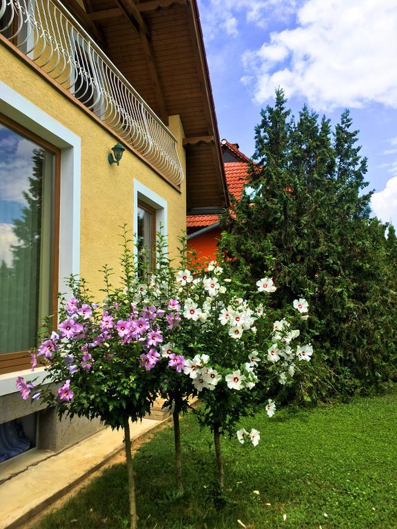 Petra Apartmanhaz Бадачоньтомай Екстер'єр фото